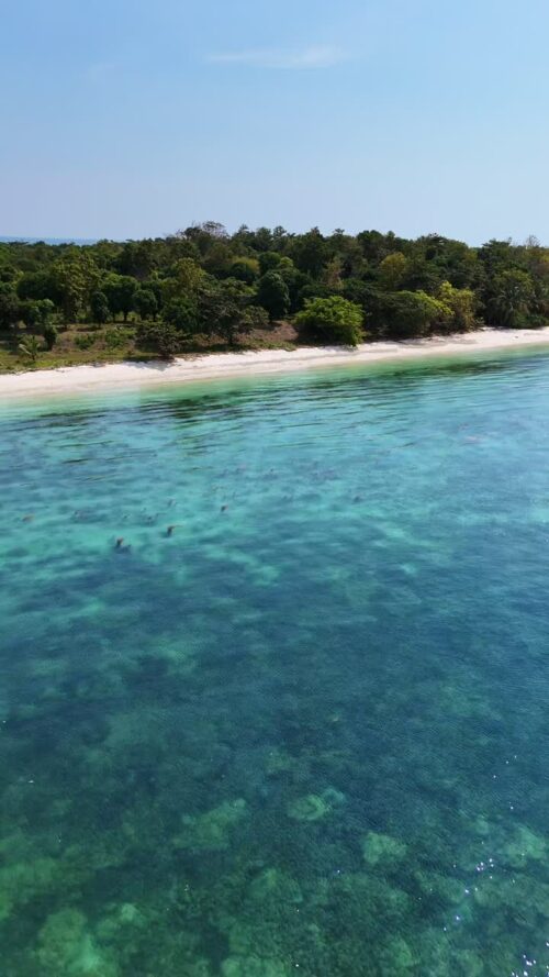 Video - Aerial drone view of a tropical beach with turquoise water and lush jungle coastline in Thailand. Vertical