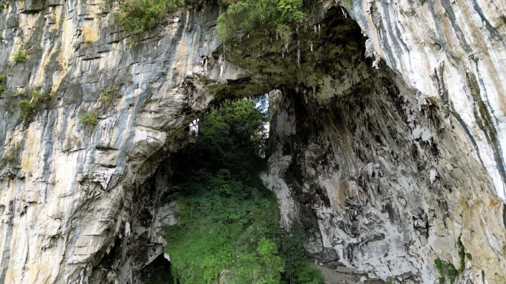 Video - Aerial drone view of a large cave entrance inside a dramatic limestone cliff surrounded by dense tropical vegetation