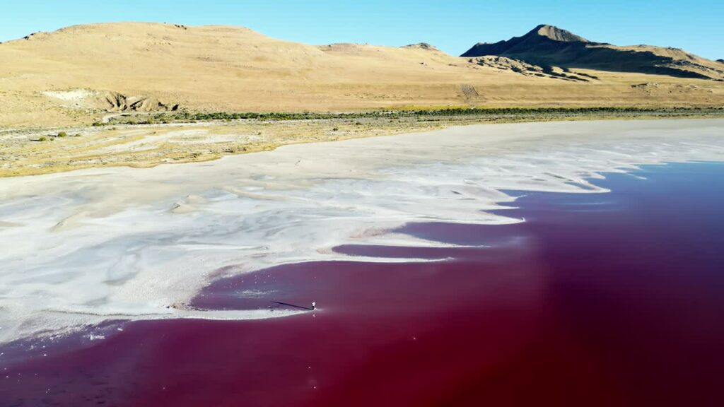 Video - Aerial drone view of a pink salt lake shoreline with mineral-rich water and desert landscape in Utah, USA