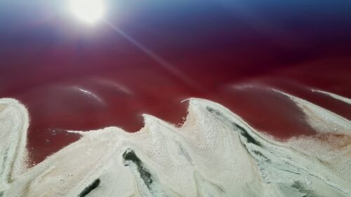 Video - Aerial drone view of pink mineral rich water meeting white salt flats in a desert landscape in Utah