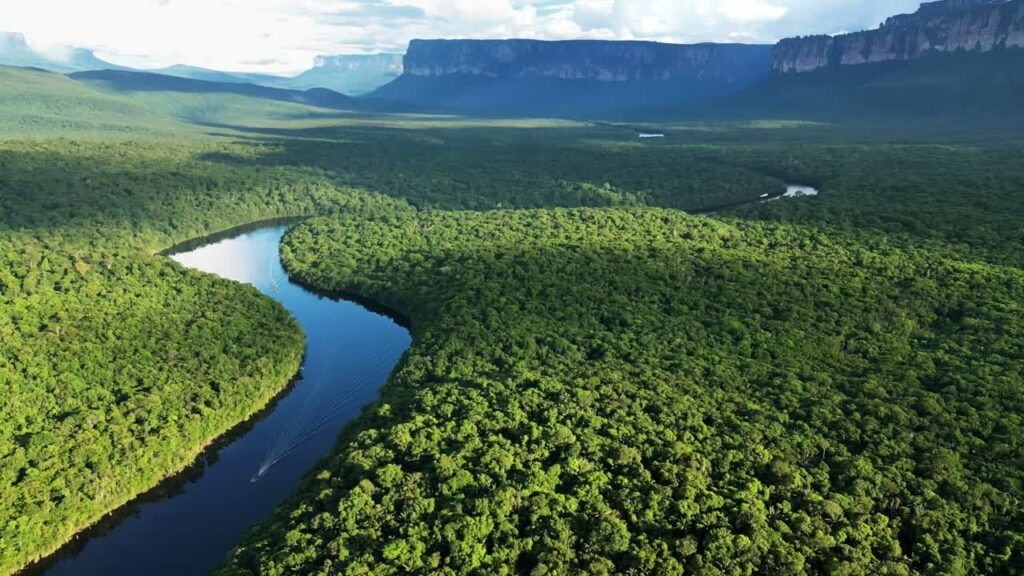 Video - Aerial drone view of a winding river cutting through dense tropical rainforest with mountains in the background in Venezuela