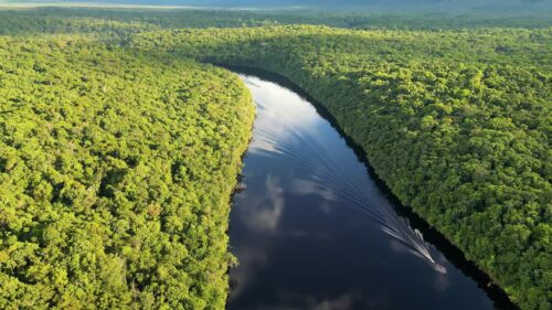 Video - Aerial drone view of a boat moving along a dark rainforest river surrounded by dense tropical jungle in Venezuela
