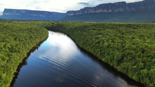 Video - Aerial drone view of a boat moving along a dark rainforest river surrounded by dense tropical jungle in Venezuela