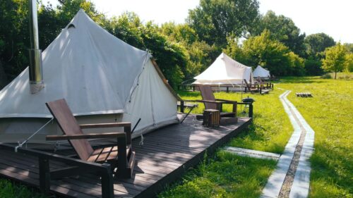 Video - Glamping cinematic tents with chairs in the nature, green grass and trees, trail